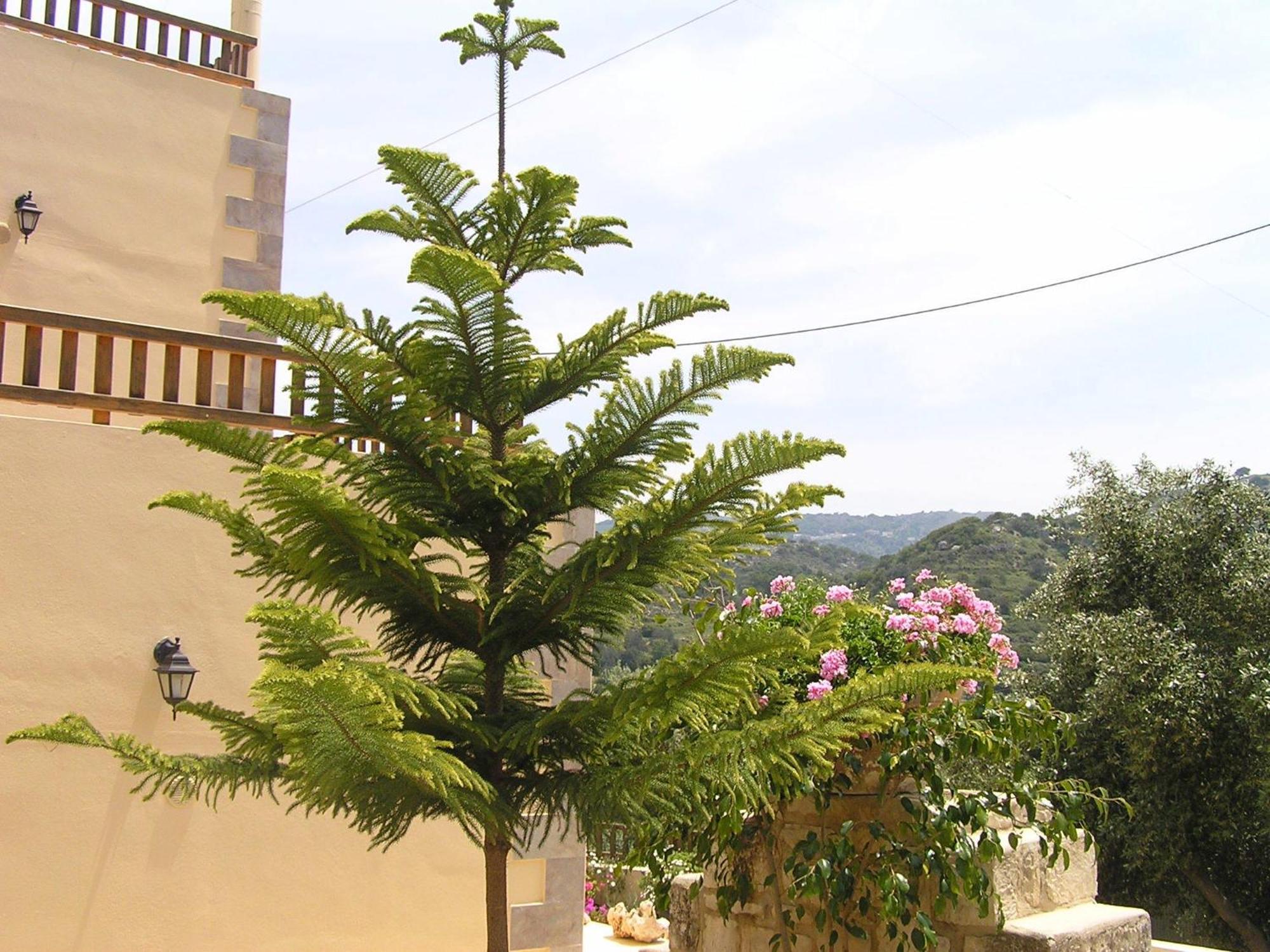 Stratos Villas Kaloniktis Экстерьер фото